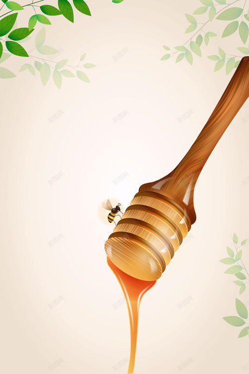 蜂蜜营养食品 滋补与创意设计的完美融合
