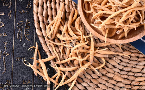 太子参高清图片素材 食品餐饮与饮食制作的创新应用