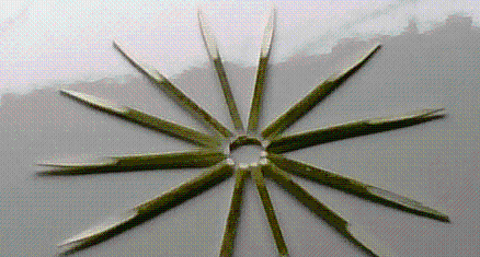 福建省浦城县华兴餐具厂 匠心打造“新黑文字”牙签，品味生活的精致细节